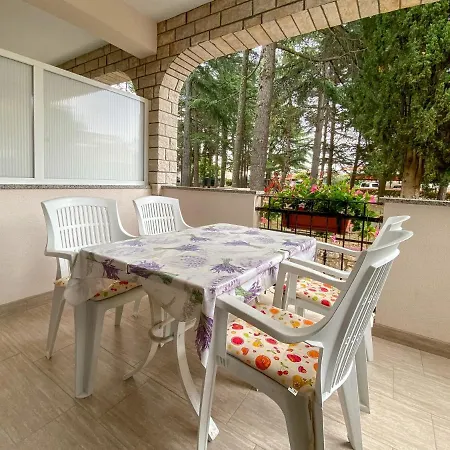 Apartment Elena Four Novigrad (Istria)